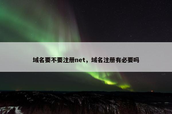 域名要不要注册net，域名注册有必要吗-第1张图片-冷动云