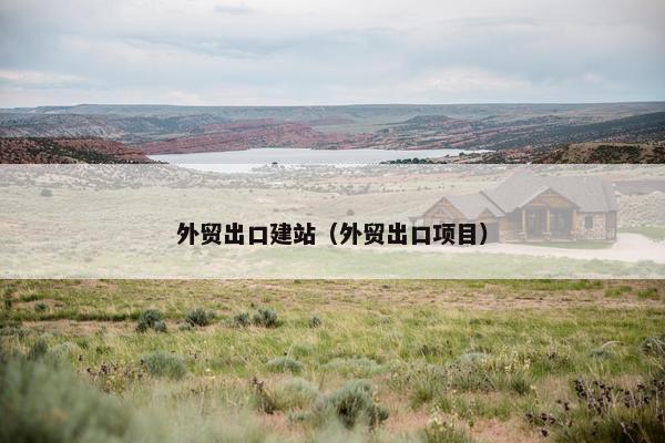外贸出口建站（外贸出口项目）-第1张图片-冷动云