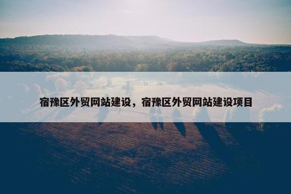 宿豫区外贸网站建设，宿豫区外贸网站建设项目-第1张图片-冷动云