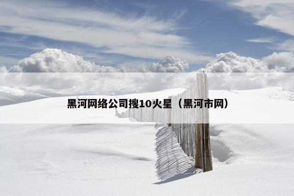 黑河网络公司搜10火星（黑河市网）-第1张图片-冷动云