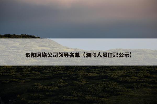 泗阳网络公司领导名单（泗阳人员任职公示）-第1张图片-冷动云