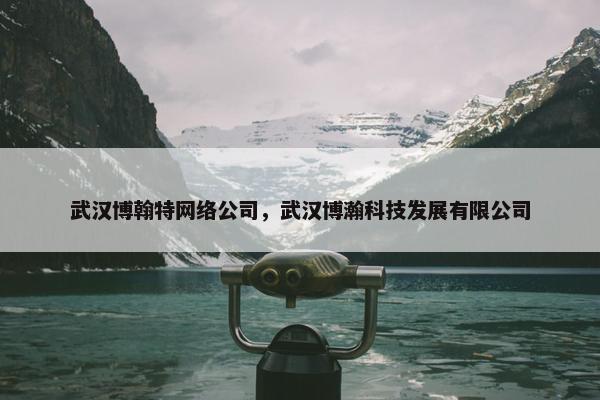 武汉博翰特网络公司，武汉博瀚科技发展有限公司-第1张图片-冷动云