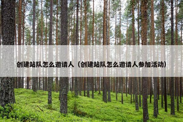 创建站队怎么邀请人（创建站队怎么邀请人参加活动）-第1张图片-冷动云