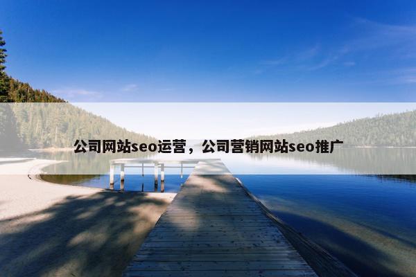 公司网站seo运营，公司营销网站seo推广-第1张图片-冷动云