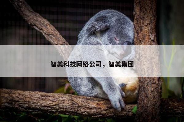智美科技网络公司，智美集团-第1张图片-冷动云