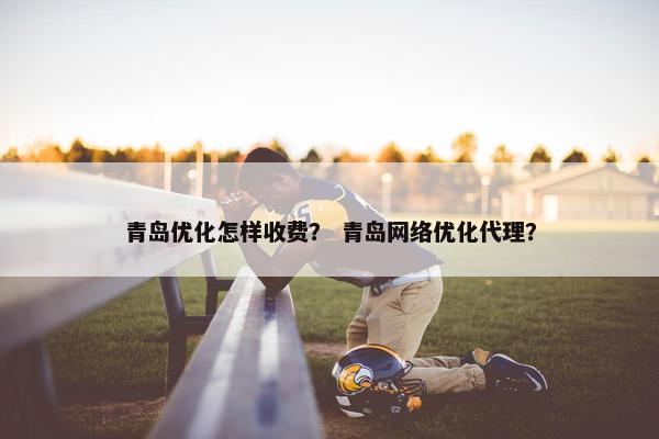 青岛优化怎样收费？ 青岛网络优化代理？-第1张图片-冷动云