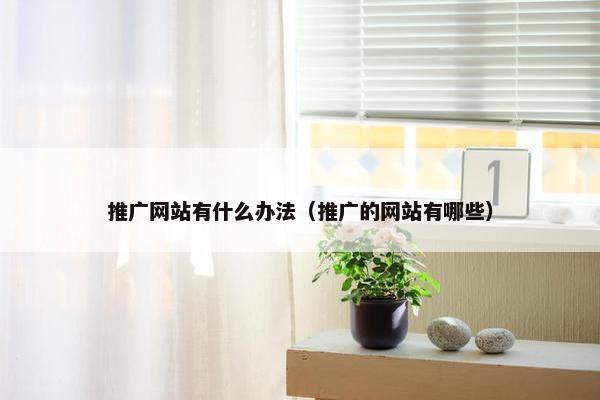 推广网站有什么办法（推广的网站有哪些）-第1张图片-冷动云