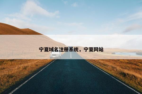 宁夏域名注册系统，宁夏网站-第1张图片-冷动云