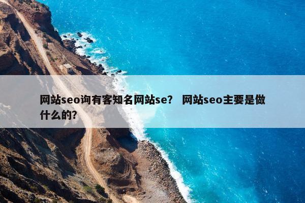 网站seo询有客知名网站se？ 网站seo主要是做什么的？-第1张图片-冷动云