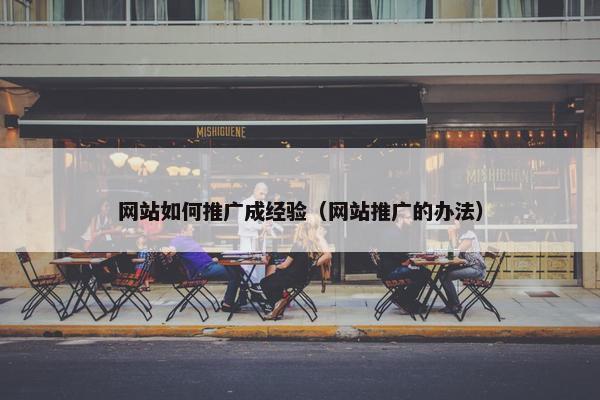 网站如何推广成经验（网站推广的办法）-第1张图片-冷动云