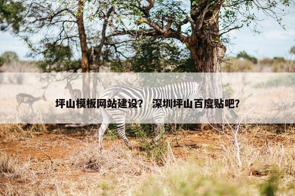 坪山模板网站建设？ 深圳坪山百度贴吧？-第1张图片-冷动云