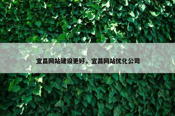 宜昌网站建设更好，宜昌网站优化公司-第1张图片-冷动云