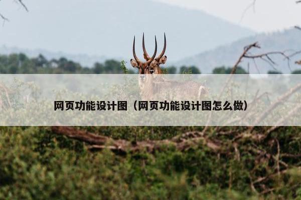 网页功能设计图（网页功能设计图怎么做）-第1张图片-冷动云