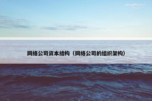 网络公司资本结构（网络公司的组织架构）-第1张图片-冷动云
